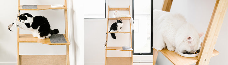 Ladder cat tree