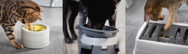 interactive feeders for cats and dogs