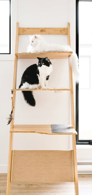 Ladder cat tree