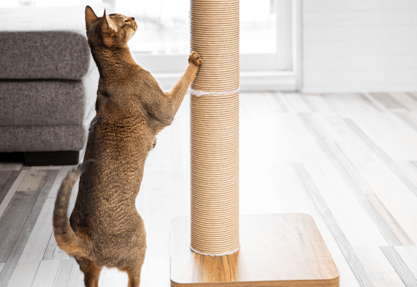 katt3-pole-scratcher-for-cats-english katt3-pole-scratcher-for-cats-english