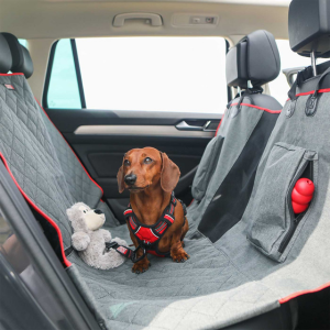 Red dachshund in the back of a car on a hammock