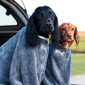 Black and red spaniels wearing grey dog drying bags
