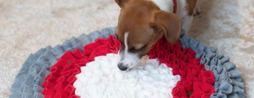 Snuffle Mat