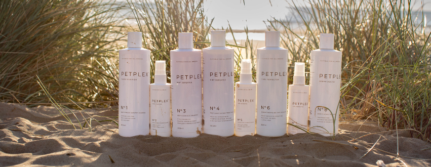 Petplex dog shampoo on the beach