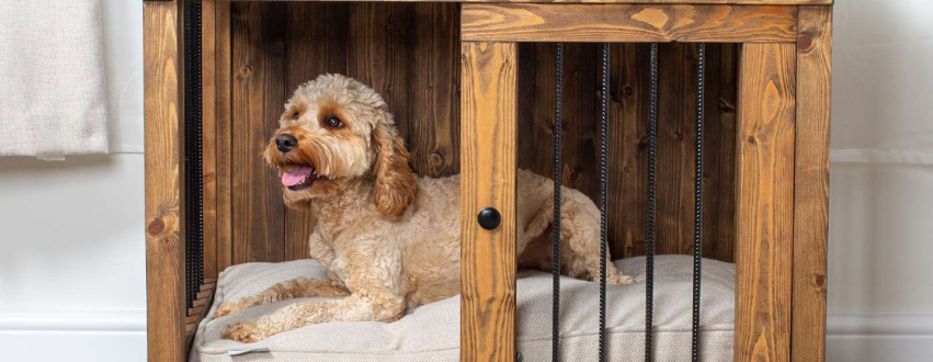 Golden cockapoo in a crate panting