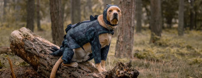 Golden labrador wearing a dinosaur halloween costume