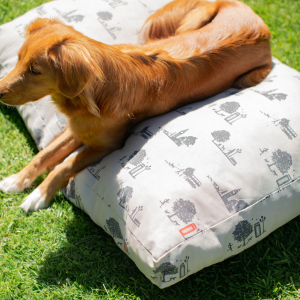 Nova scotia duck tolling retriever laid on a sleepeze travel dog cushion