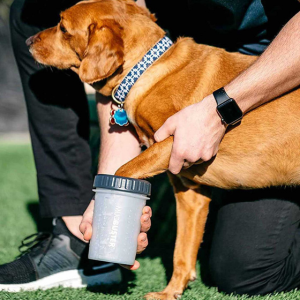 Labrador using a dexas mudbuster