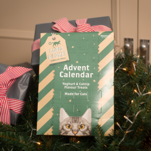 Cupid and comet cat advent calendar