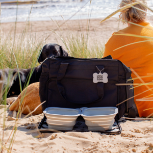 Mobile dog gear travel dog bag on the beach