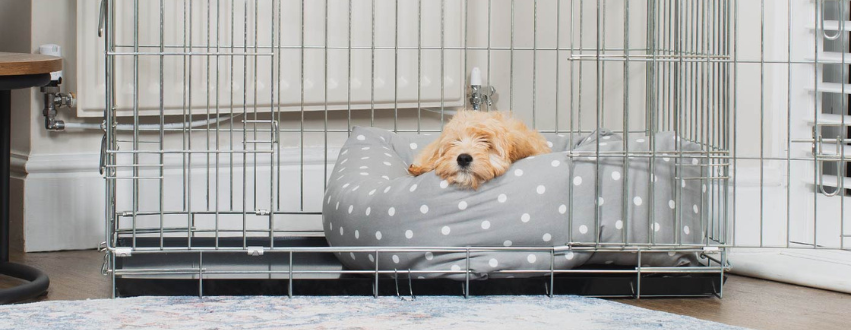 Cockapoo puppy sleeping in a grey and white spot bed inside a metal dog crate