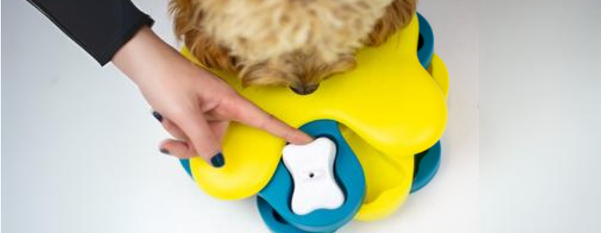 Dog playing with an interactive dog toy
