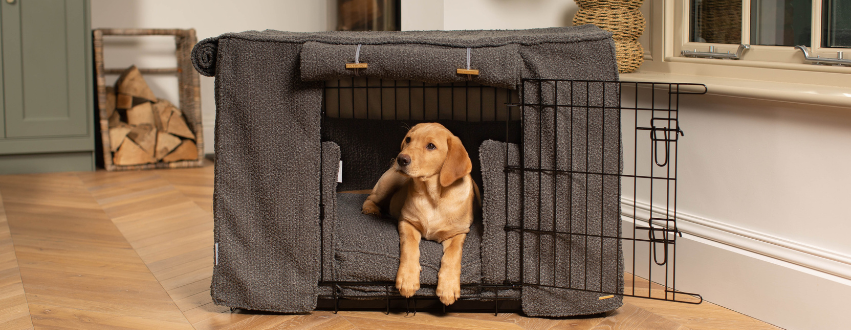 Granite Boucle Crate set with a golden labrador