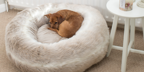 Donut bed