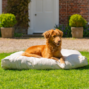 Sleepeze travel dog cushion