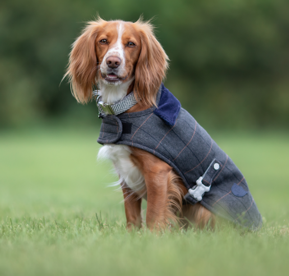 hugo and hudson tweed coat