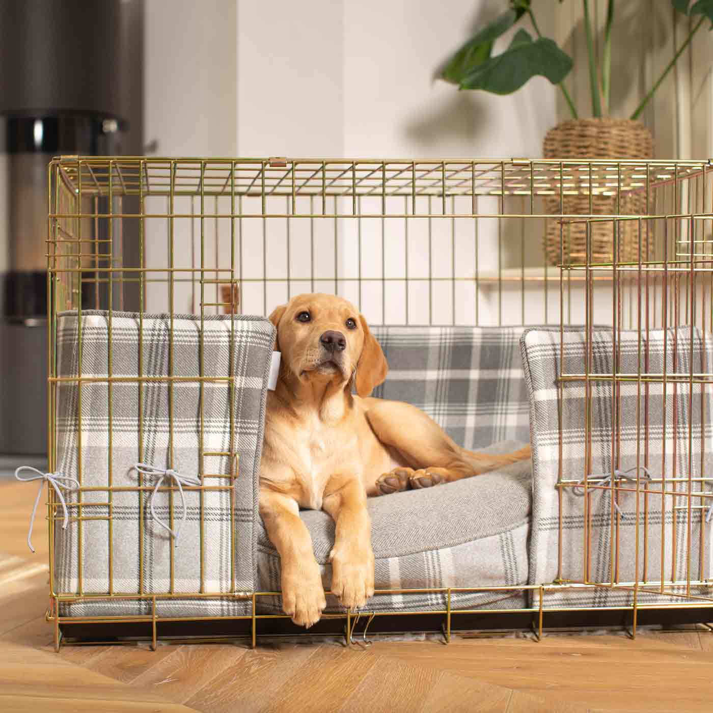 Retriever dog sales kennel accessories