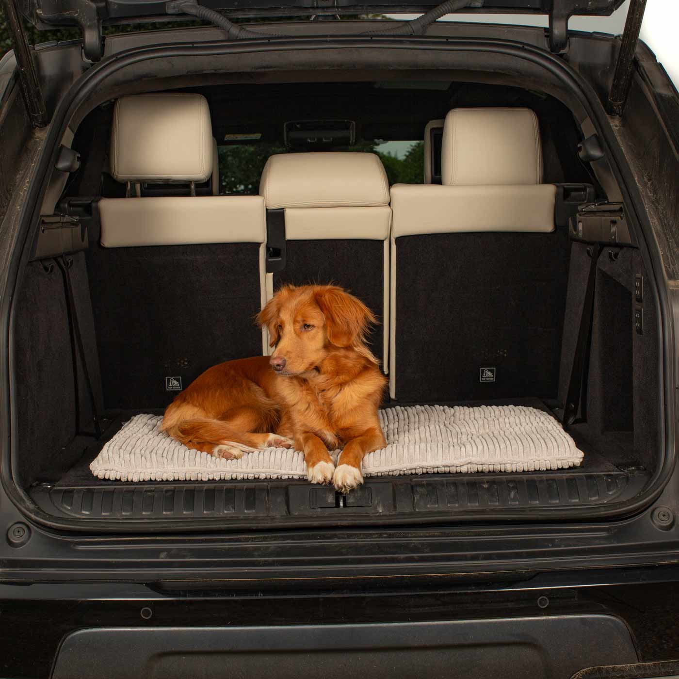 Travel Mat in Light Grey Essentials Plush by Lords & Labradors