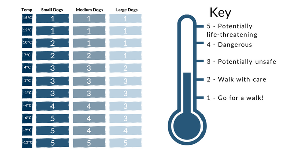 How cold is too cold to walk your dog