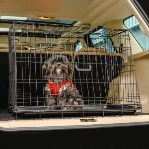 Grey fluffy dog in the back of a car inside a car travel dog crate