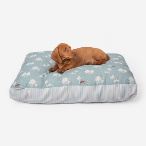 Red dachshund laid on a patterned dog travel cushion 