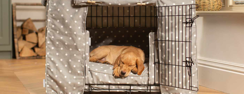 Labrador puppy asleep in a grey and white spot crate set