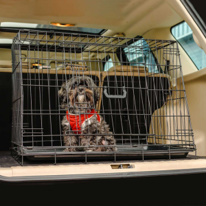 Black fluffy dog in a car crate inside the boot of a car