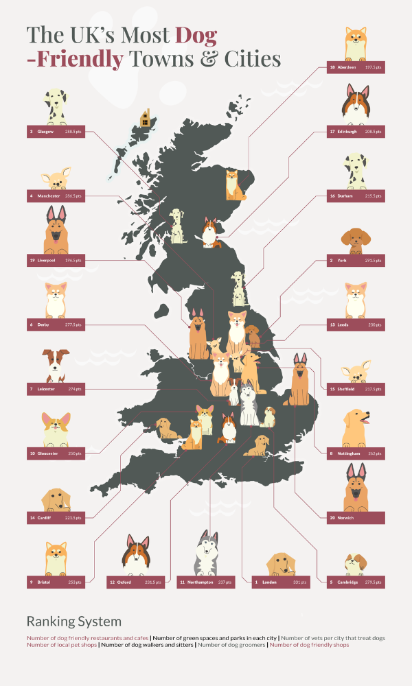 UK's Top Dog Friendly Towns And Cities