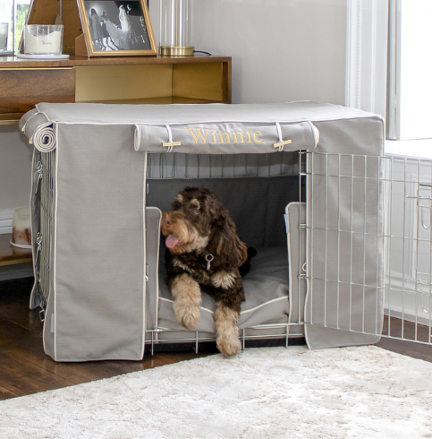 how long should a dog be crated