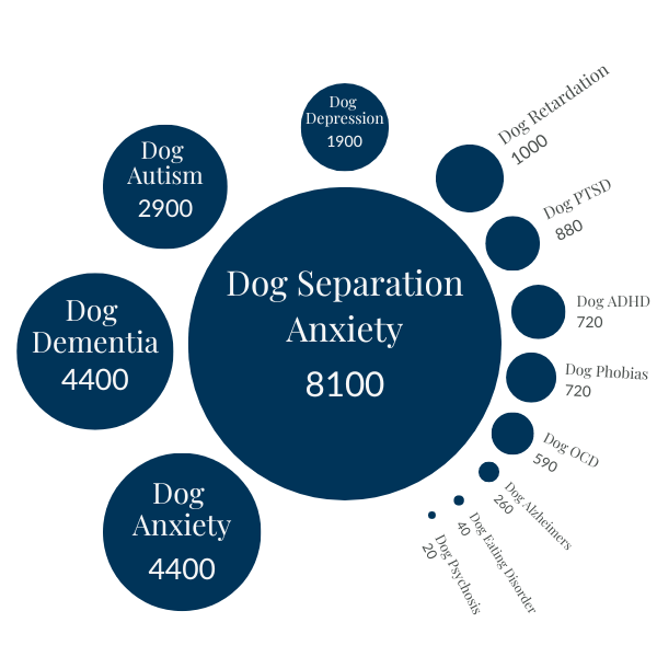 Canine mental health disorders