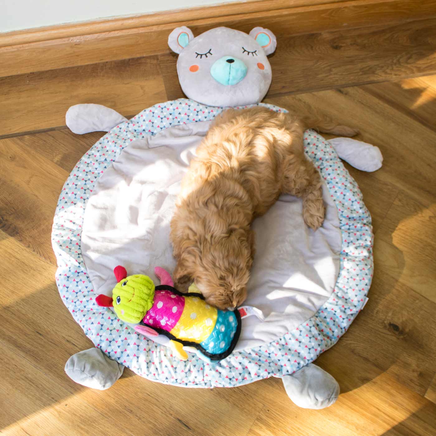Snoozy Bear Playmat, Little Rascals Puppy Toys