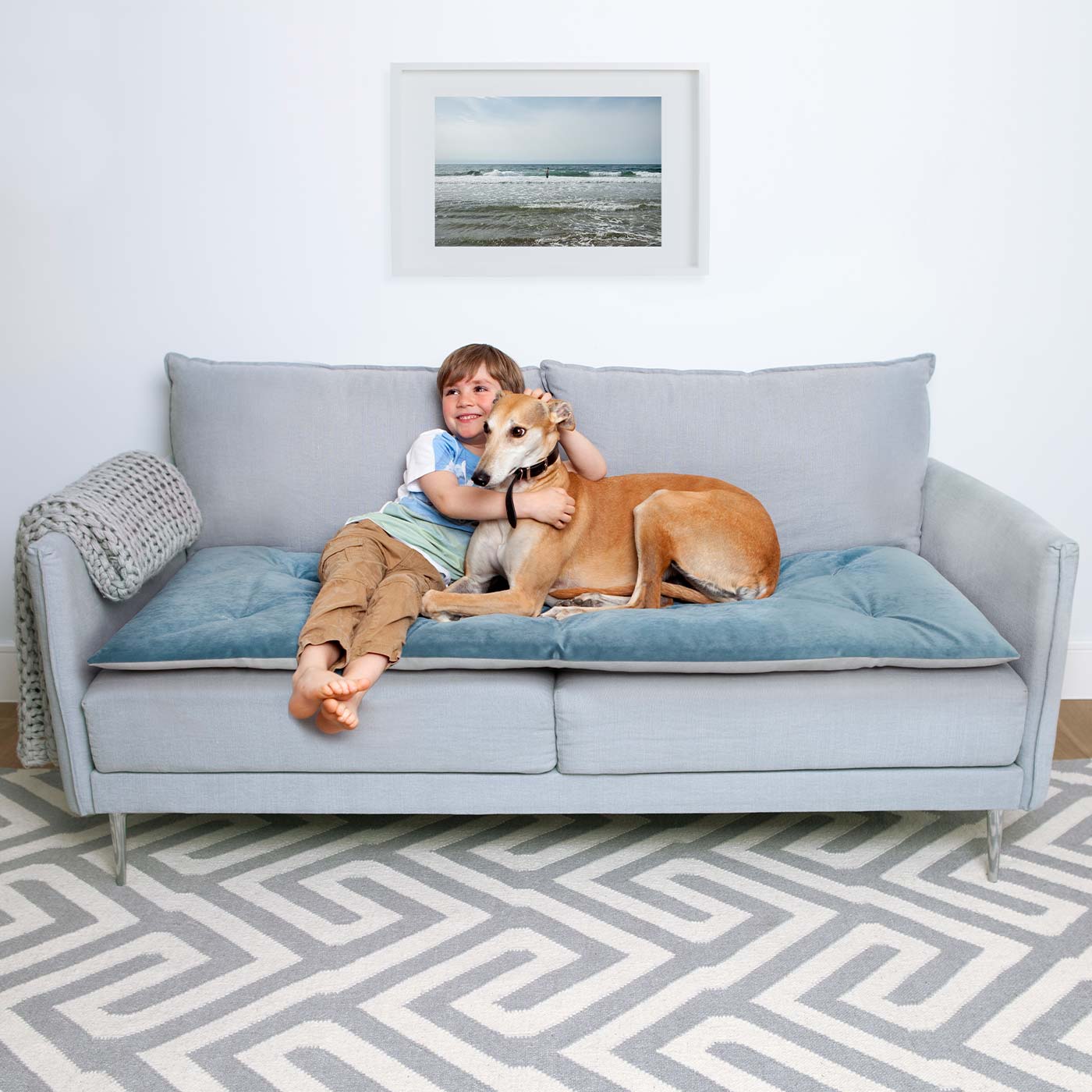 The Lounging Hound Lustre Velvet Sofa Topper | Dog Bed | Lords & Labradors