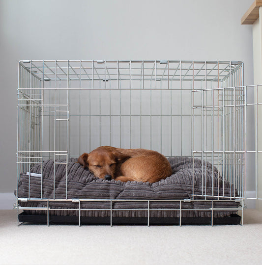 Dog deals kennel pillows