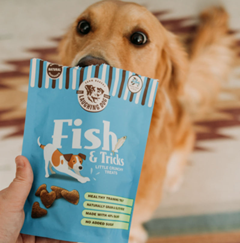 Dog sitting with a bag of Laughing Dog Fish & Tricks Little Crunchy Dog Treats 