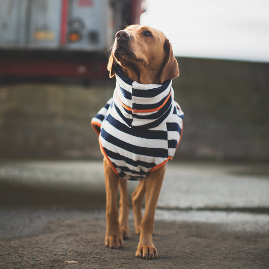 Shop Designer Clothes For Dogs And Dog Walking Accessories