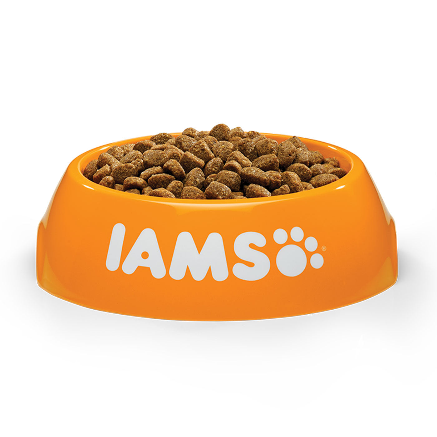 iams medium puppy food