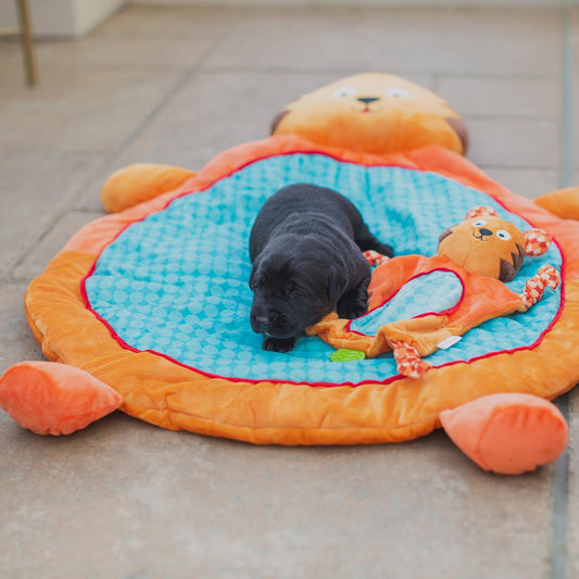 Happy Pet Little Rascals Puppy Activity Play Mat