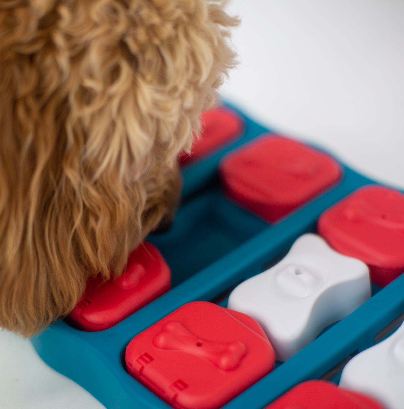 Nina Ottoson Dog Brick Puzzle Review (DOG PUZZLE GAME) 