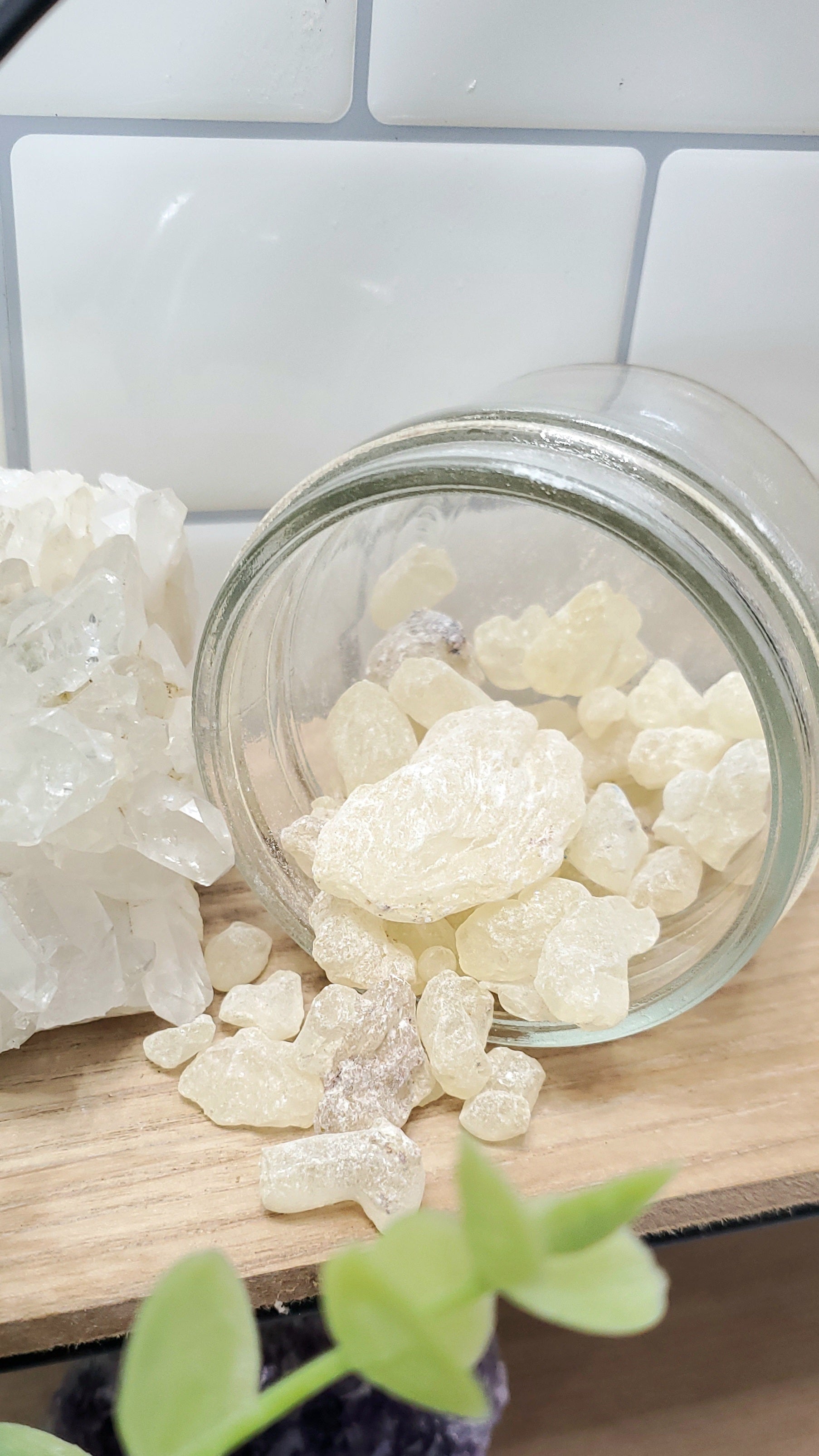 White Copal
