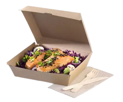 Some examples of commonly available eco-friendly catering boxes are Kraft rice boxes, Kraft salad bowls, Kraft meal boxes, etc.