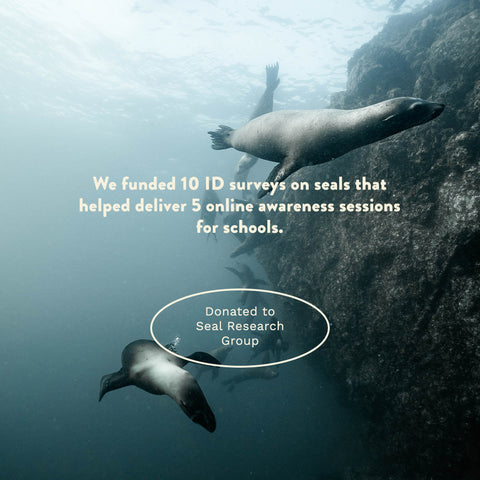 our seal socks funded 5 school sessions with the Seal Research Trust