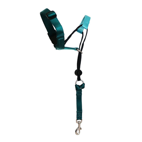 Quartz Dog Training Halter, Afterpay