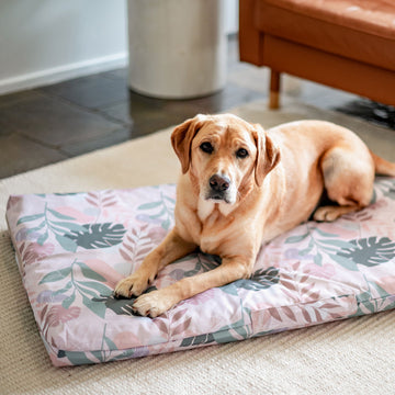 can you put a blanket over a dog crate