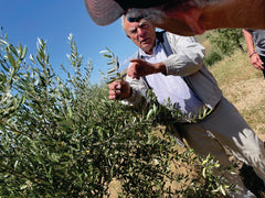 Richard with Olive Tree