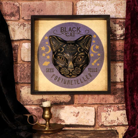 Black Cat Fortune Teller