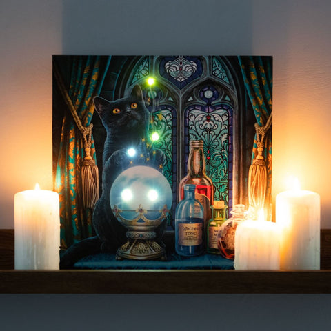 Lisa Parker The Witches Apprentice Light Up Picture