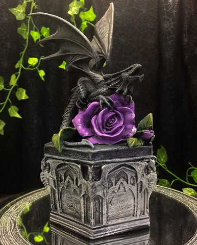 Anne Stokes Dragon Beauty Box