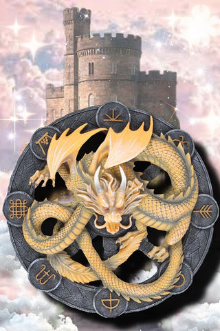 Anne Stokes Imbolc Dragon Wall Plaque