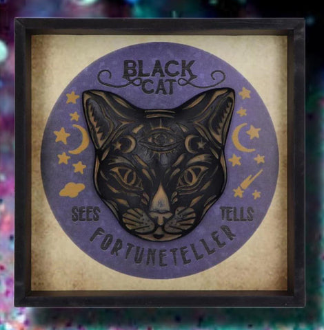 Black Cat Fortune Teller