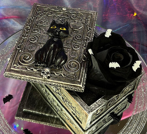 Black Cat Resin Box